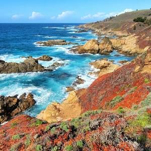 Meet your Posher, Bruce